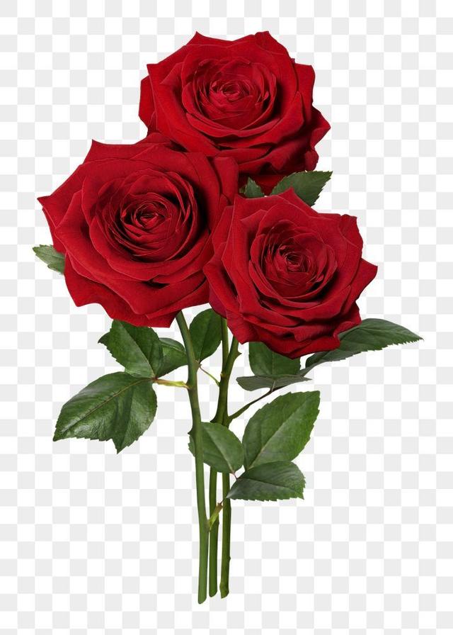**Neila Lilieth Butcher** obituary from Wayne's Funeral Services